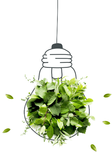 Eine Glühbirne mit einer Pflanze