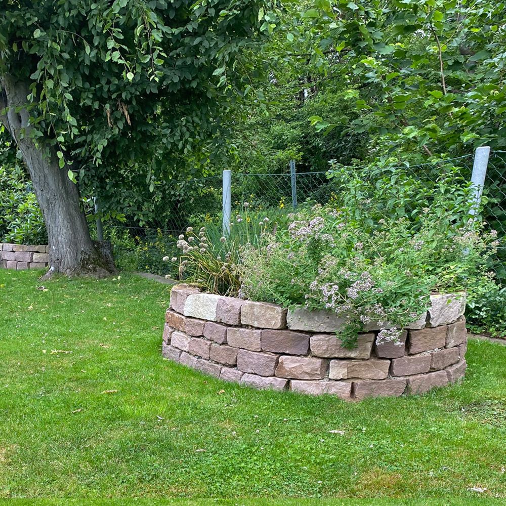 Ein grüner Garten mit einem Baum und einem bepflanzten Stein rund Garten