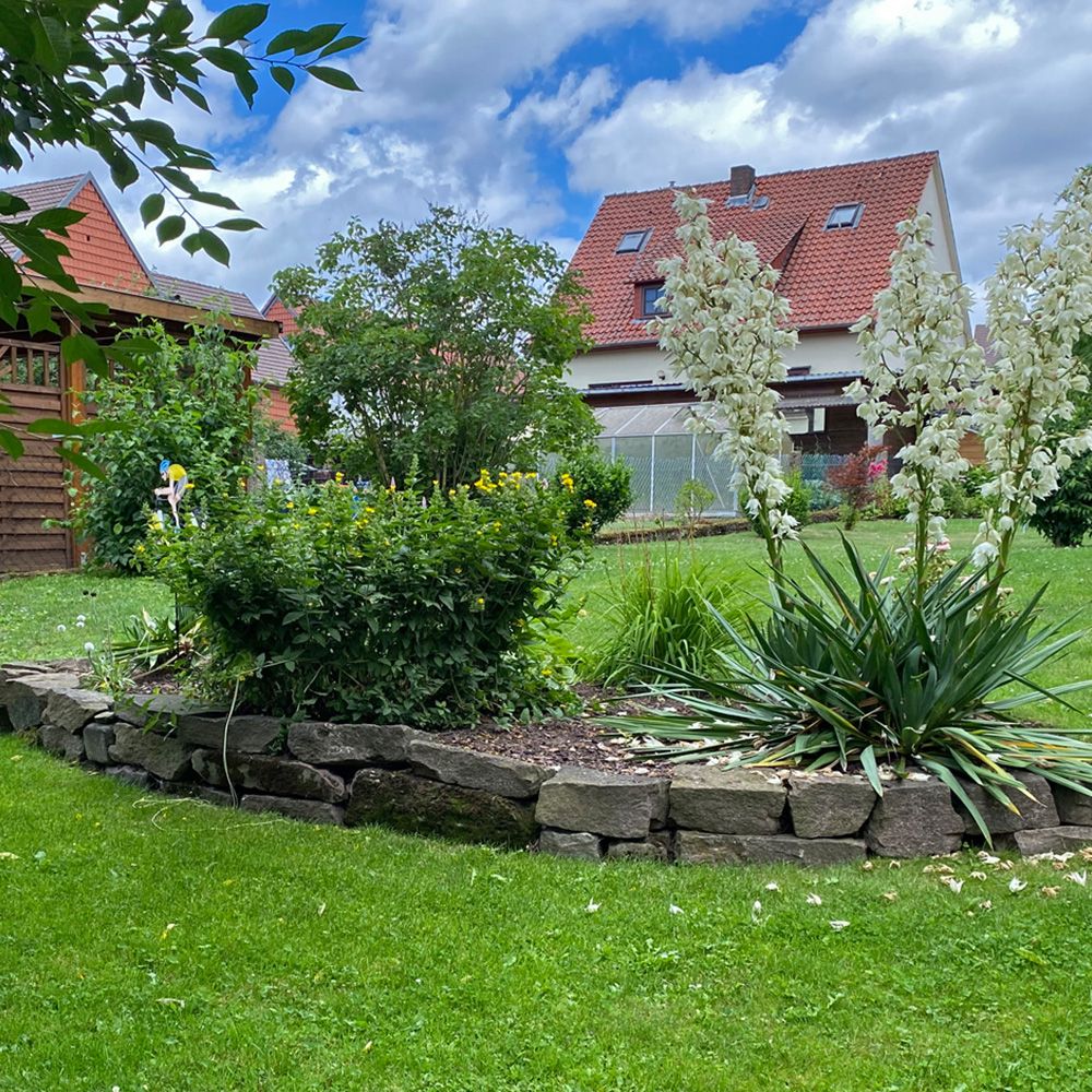 Ein grüner Garten mit einer bepflanzten Mittelinsel