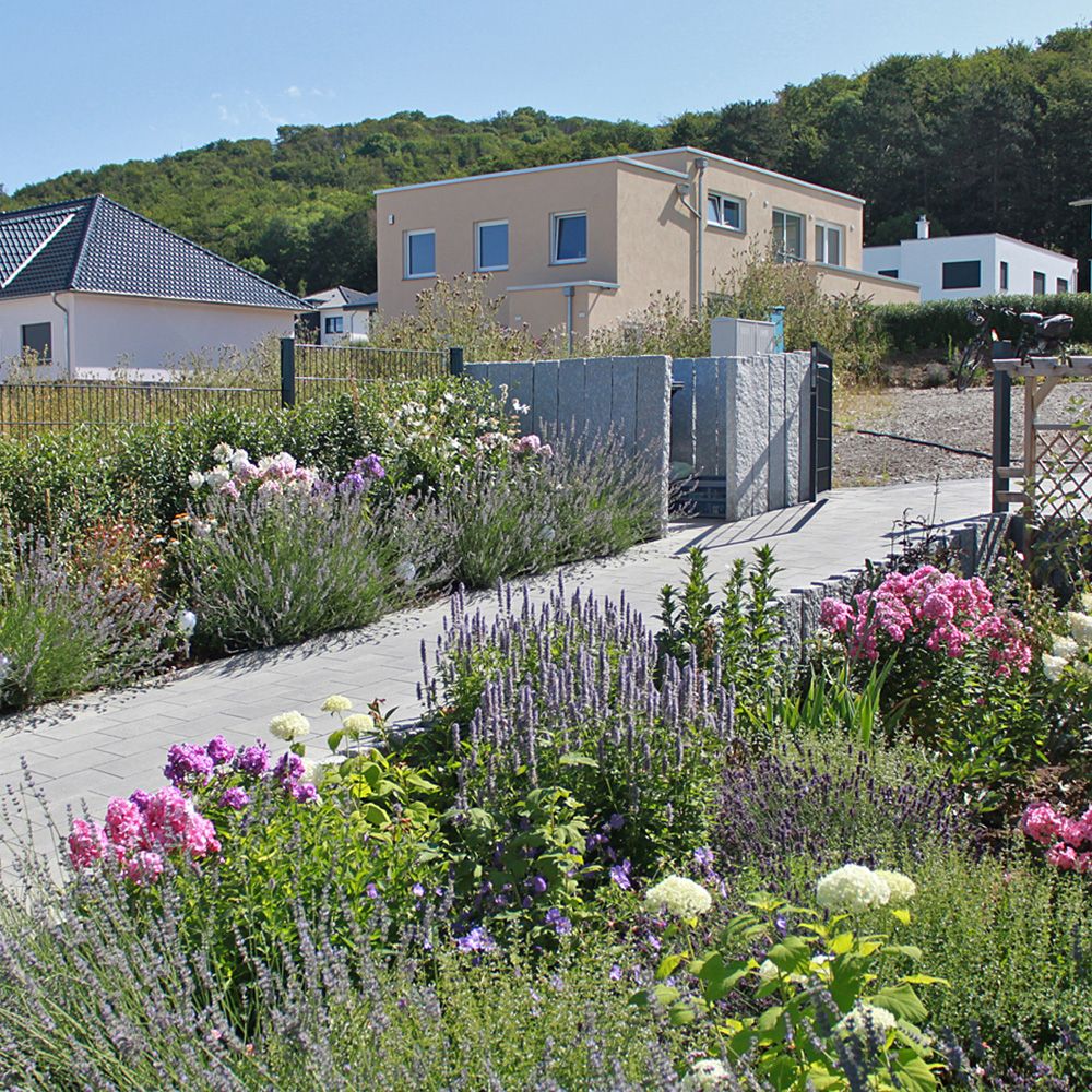 Bepflanzte Seitenränder mit einem Gartentor im Hintergrund